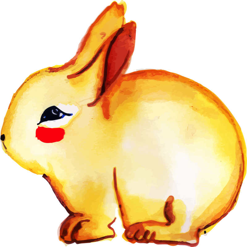 Bunny2 - Portable Network Graphics (800x800), Png Download