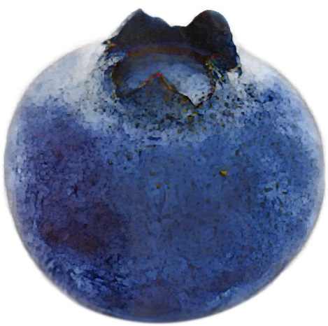 A Spartan Plant Breeder Perfects One Of Summer's Finest - One Blueberry (468x535), Png Download