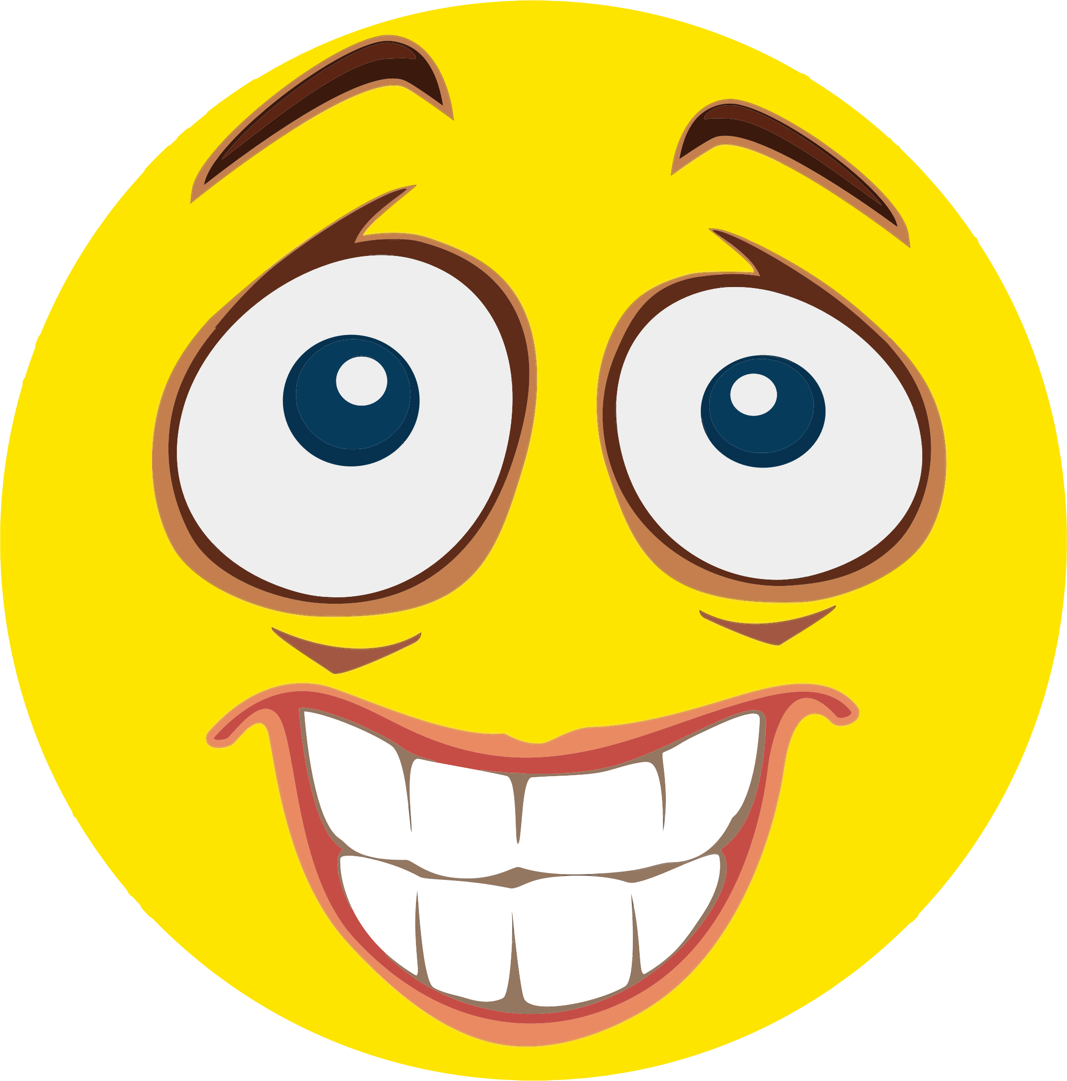 Smiley Emoticon Computer Icons Download - Nervous Smiley (740x750), Png Download