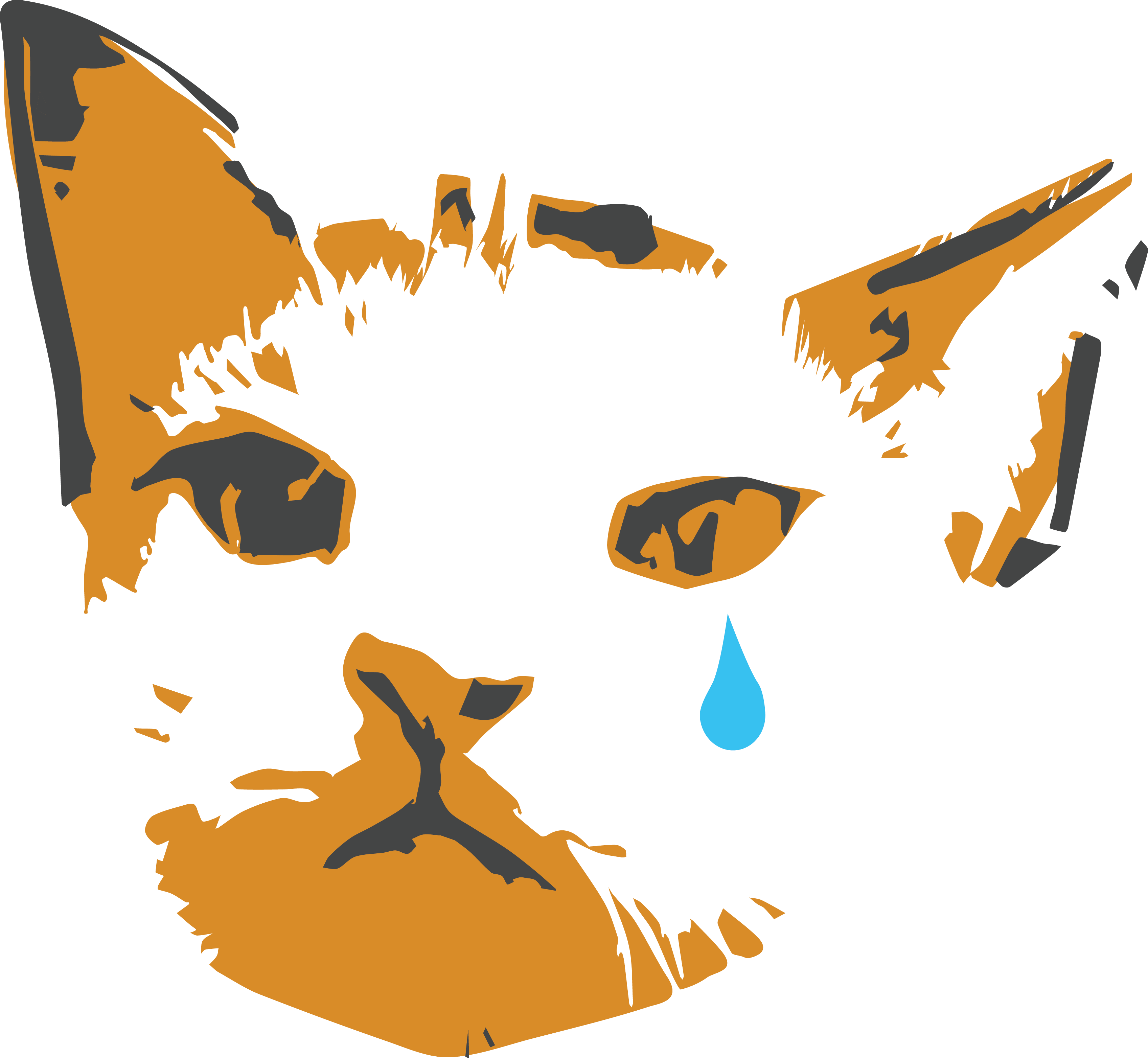 Moss Graffiti Wall/ Mural Lab - South Carolina (3394x3128), Png Download