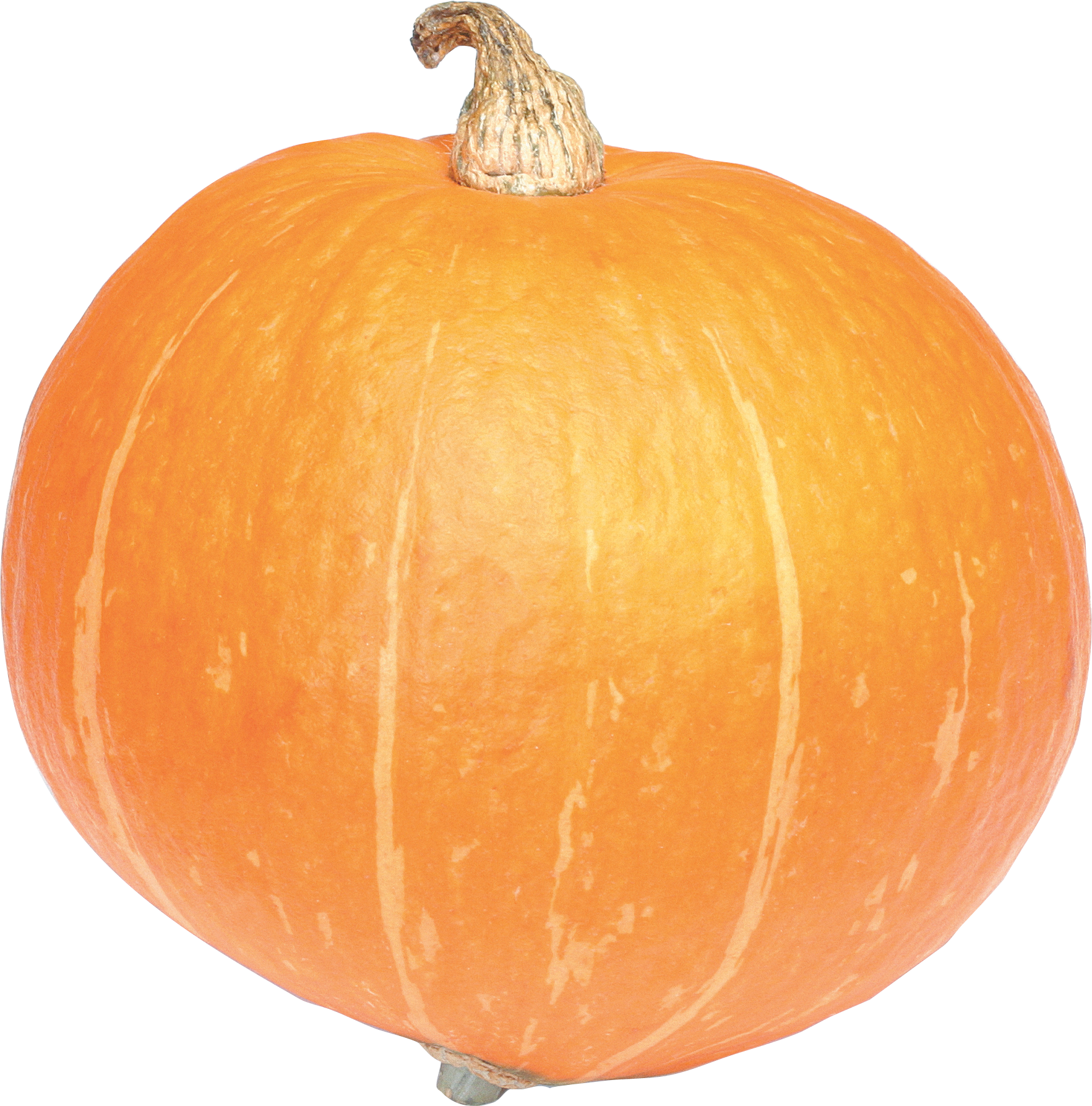 Pumpkin Png (1765x1787), Png Download