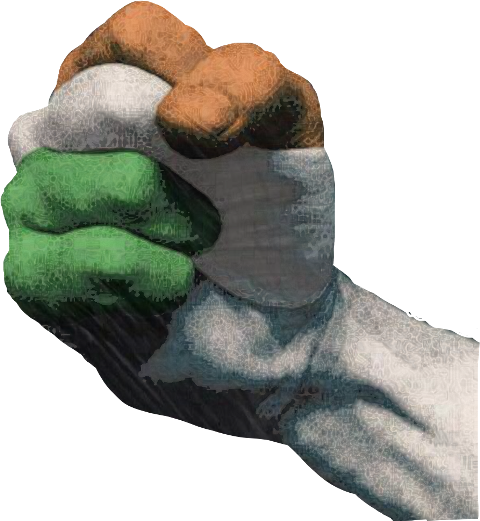 Love My Indian Flag (480x521), Png Download