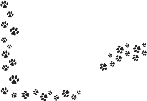 Puppy Paw Print Png - Paw Prints Transparent Background (552x362), Png Download
