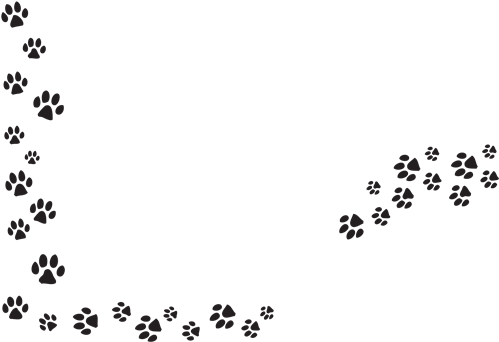 Download Puppy Paw Print Png - Paw Prints Transparent Background PNG