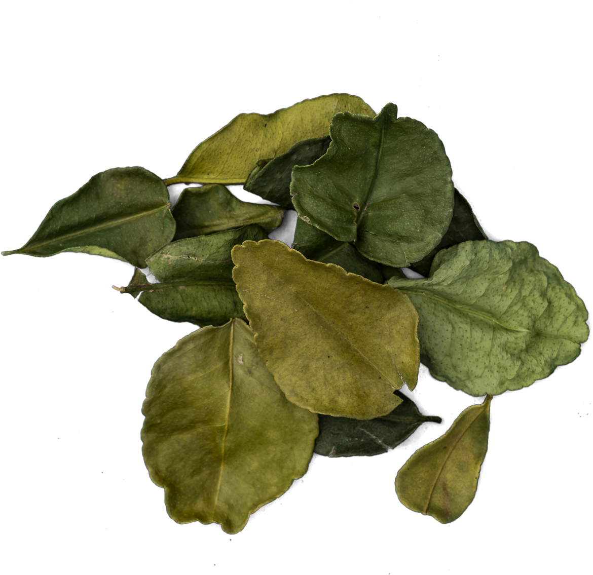 Kaffir Lime Leaves Png - Kaffir Lime (1200x1200), Png Download