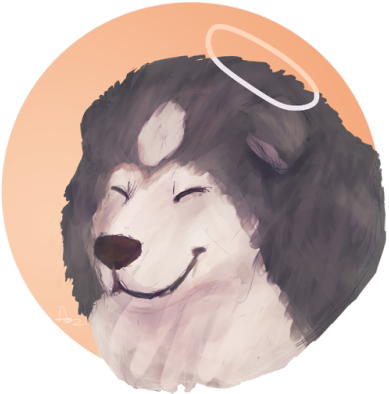 I Heard The News About Leo And Wanted To Draw A Little - Alaskan Malamute (500x500), Png Download