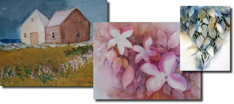 Watercolors Artwork - Moth Orchid (750x335), Png Download