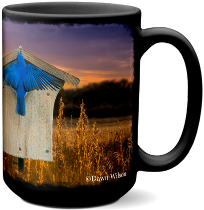 Bluebird Sunrise E-011b - Beer Stein (500x500), Png Download