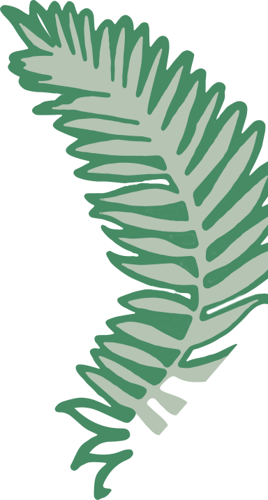 Fern Clipart Holiday - Holiday (384x715), Png Download