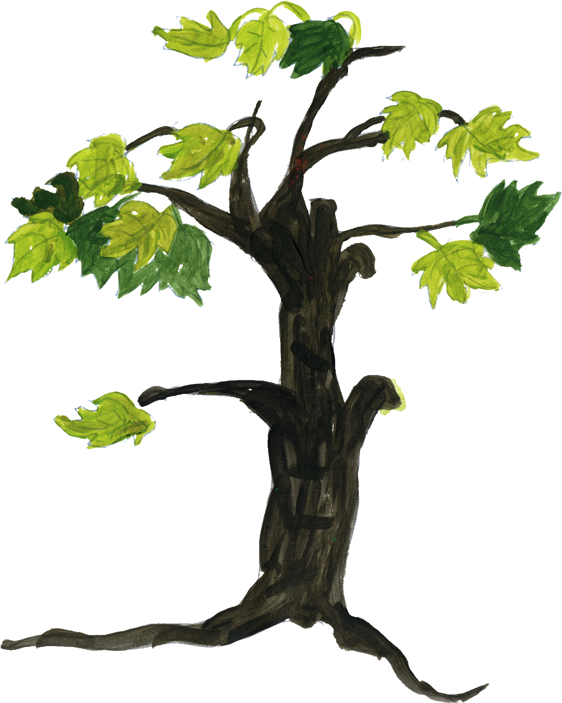 4 Tree Drawing (1159x1484), Png Download