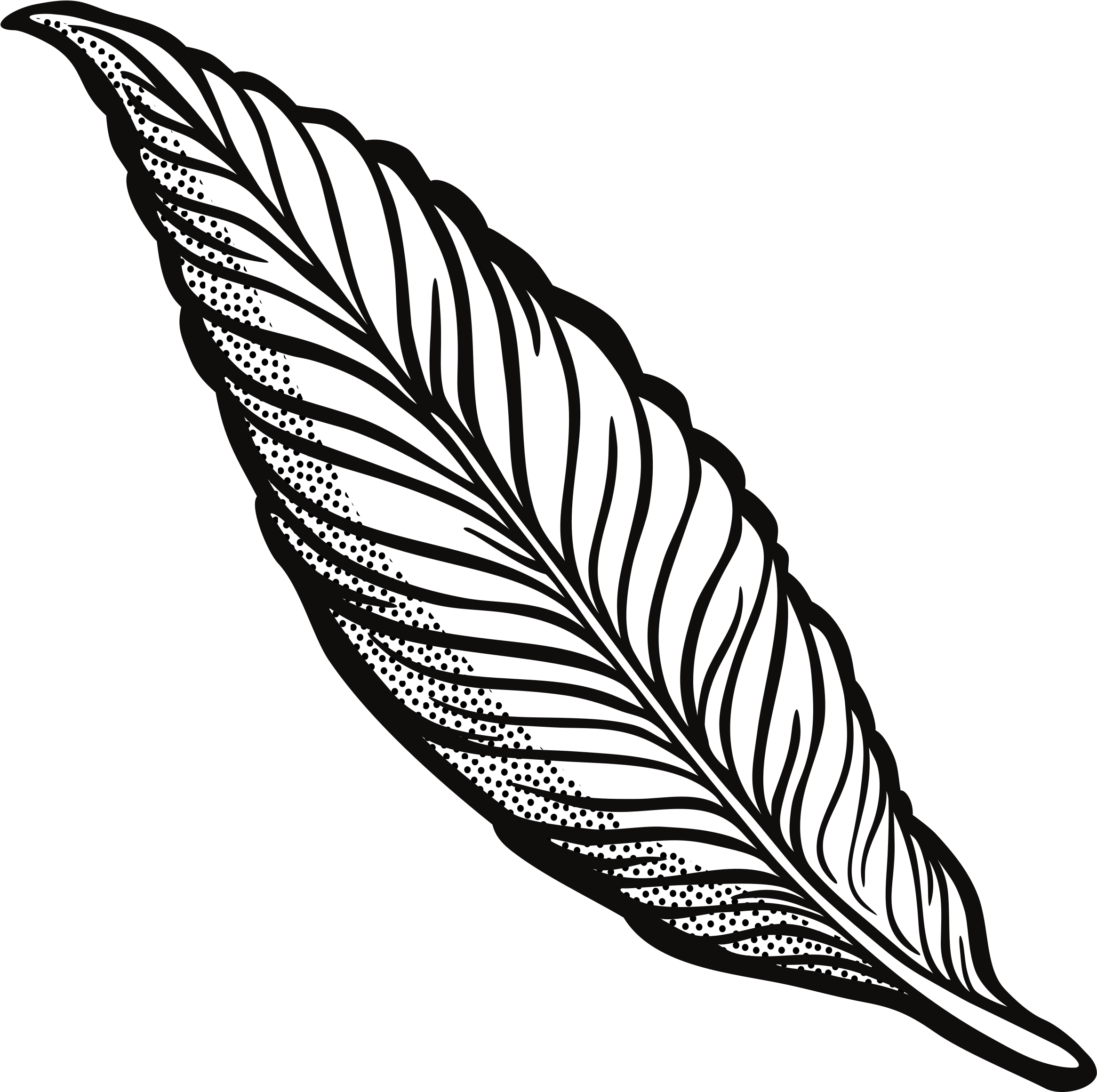 Line Drawing Feather At Getdrawings - Feather Clipart Transparent (2400x2400), Png Download