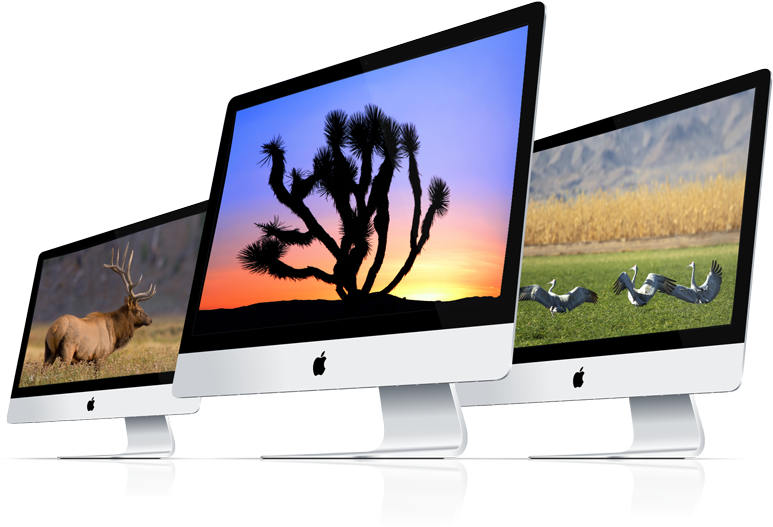 St Page Of Desktop Wildlife Nature (960x549), Png Download