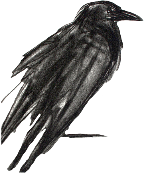 Imagine The One You Love- Love So Much Your Heart Could - Raven (595x751), Png Download