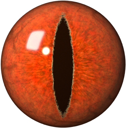 Pooper Eye - Dragon Eye Png (720x480), Png Download