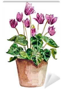Home Flowers In A Vase - Цветы В Вазе Акварелью (400x400), Png Download