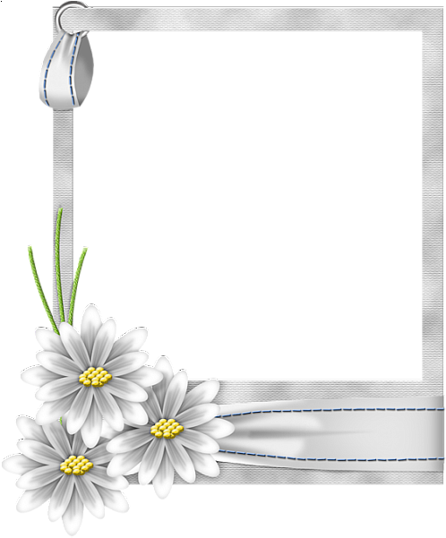 Flo Frame White - Hd White Flower Frame Png (528x600), Png Download