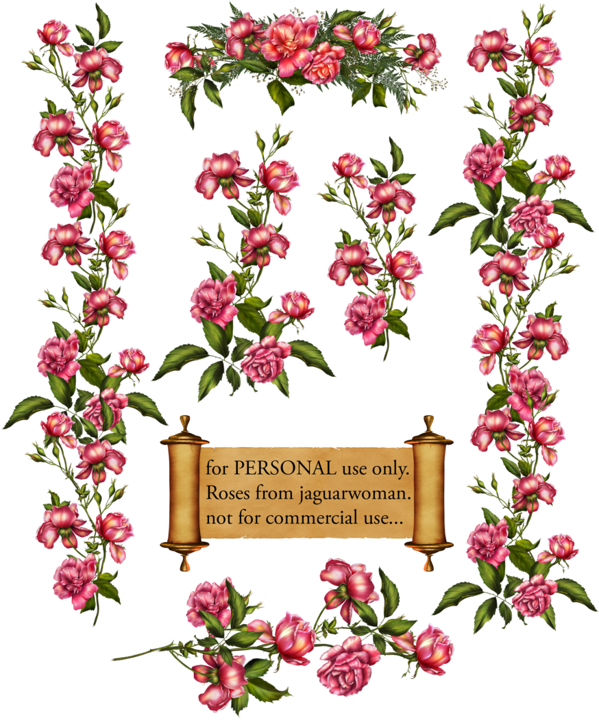 Pink Flower Vine Png Download - Climbing Rose Clip Art (900x1071), Png Download