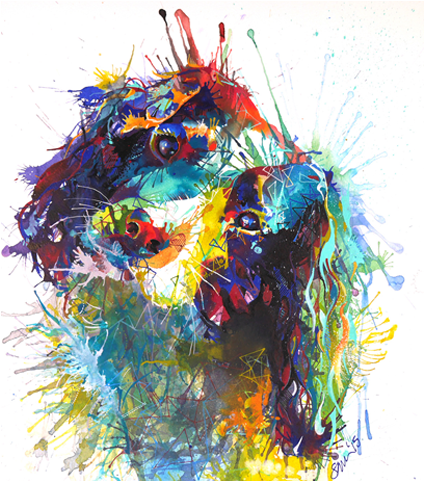 Sarah Taylor - Visual Arts (800x480), Png Download