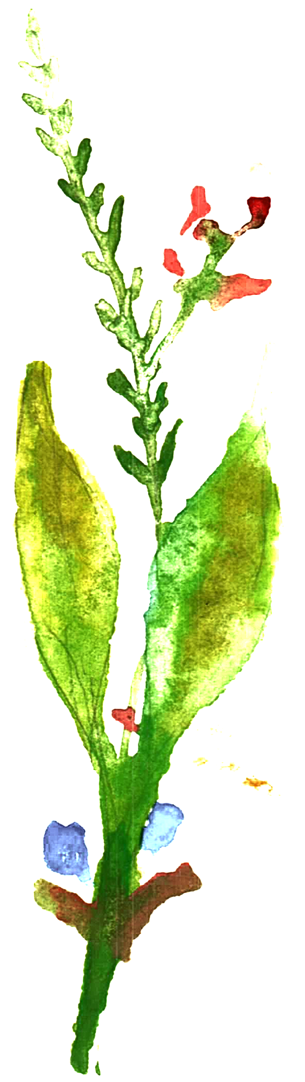 Ice Blue Mosaic Transparent Decorative - Watercolor Painting (1024x2438), Png Download