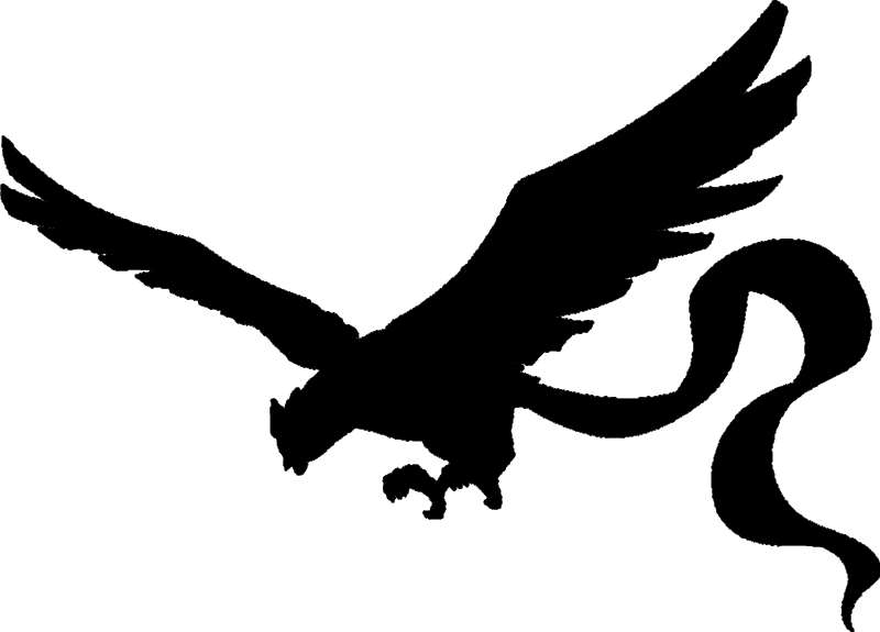 Liked Like Share - Pokemon Legendarios Articuno (800x575), Png Download