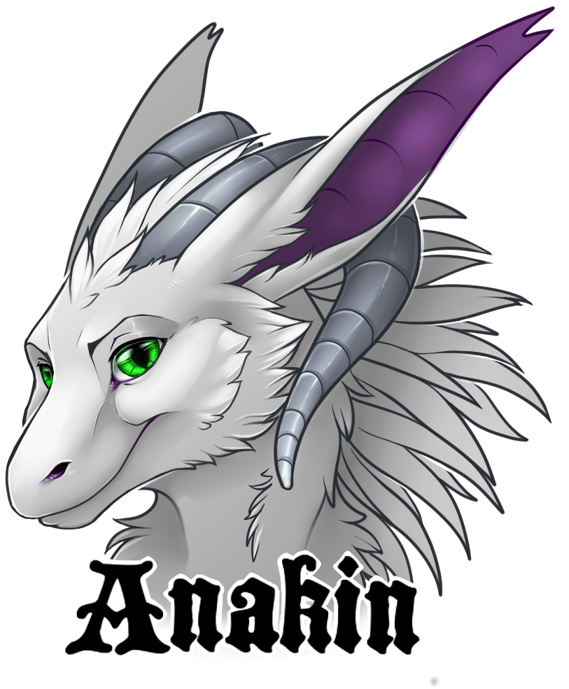 Anakin Badge - St Trinians (951x1079), Png Download