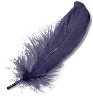Photoshop Clipart Blue Feather - Feather Png (400x400), Png Download