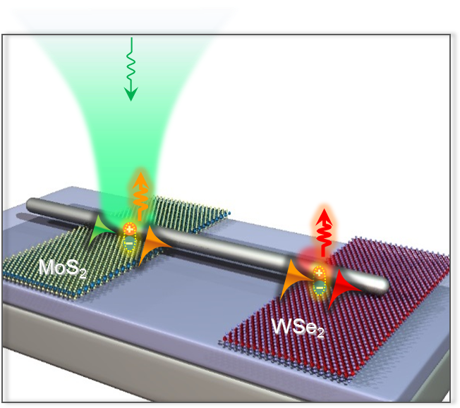 Exciton Circuits (663x581), Png Download