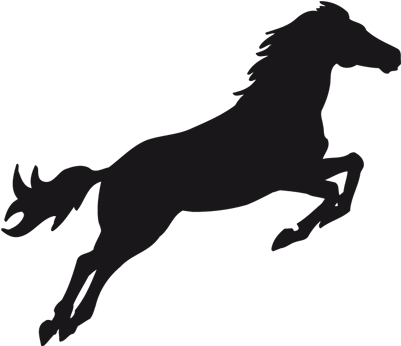 Caballo 008 - Unicorns Unicorns Throw Blanket (400x400), Png Download