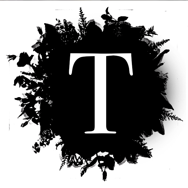 Picture - Graphic Design (600x600), Png Download