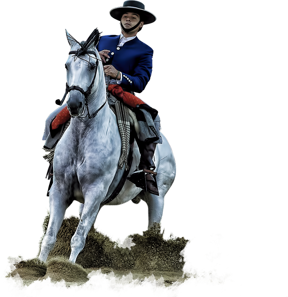 Activities And Shows For Everyone - Madrid (918x949), Png Download