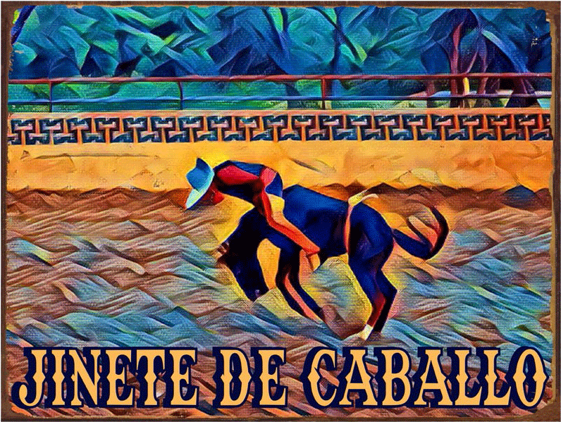 Poster (800x800), Png Download