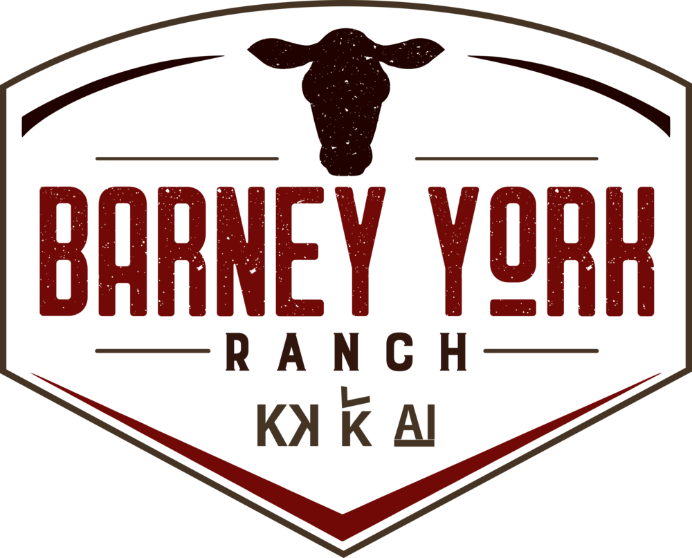 Png - Portable Network Graphics (1000x807), Png Download