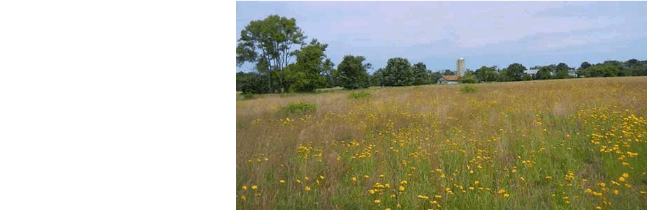Barton Arboretum And Nature Preserve - Nature (940x300), Png Download