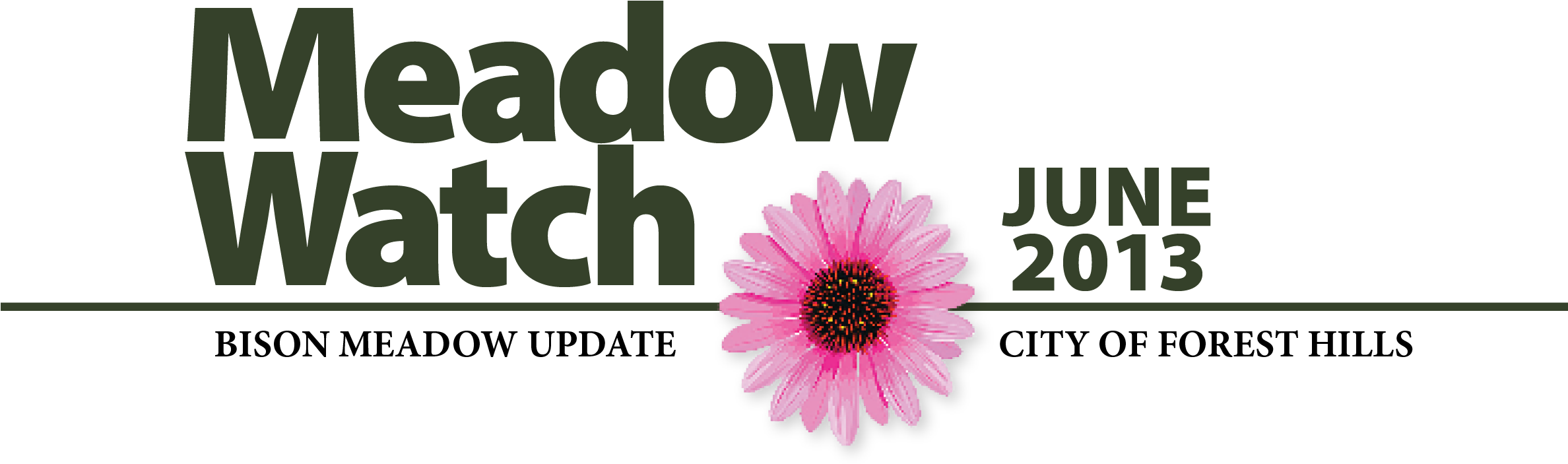 Meadow - Iwatt (2375x721), Png Download
