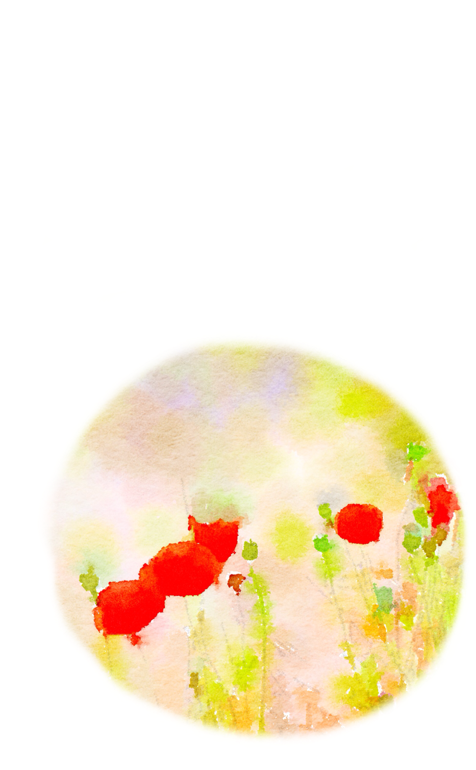 Poppy (1024x1540), Png Download