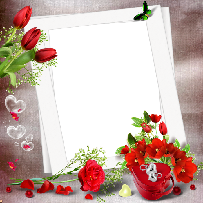 Cadres Vides Pr T A Utilis - Rose Happy Birthday Card (700x700), Png Download