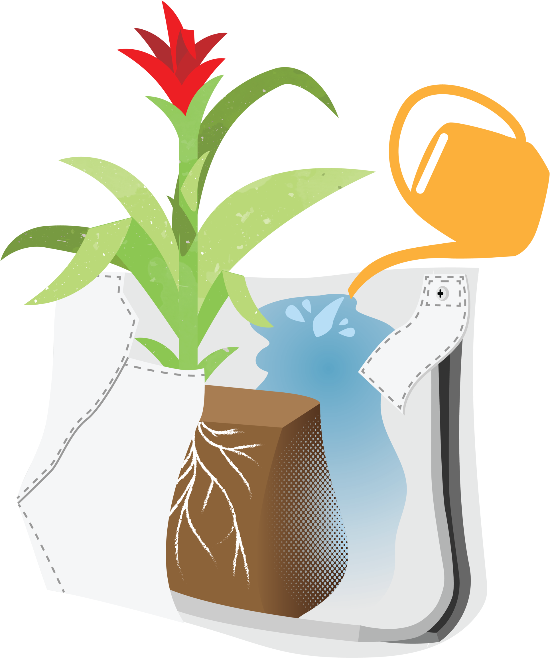 Ii Pocket - Flowerpot (2048x2403), Png Download