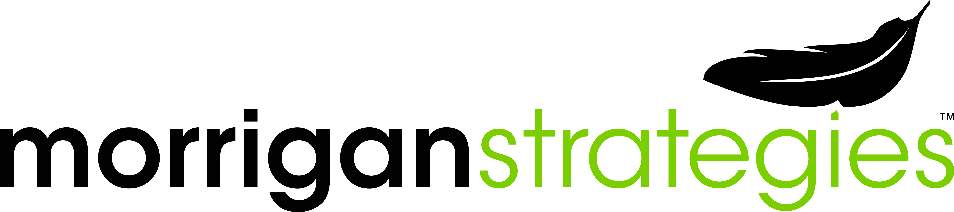 Morrigan Strategies - Nilüfer (4096x2160), Png Download