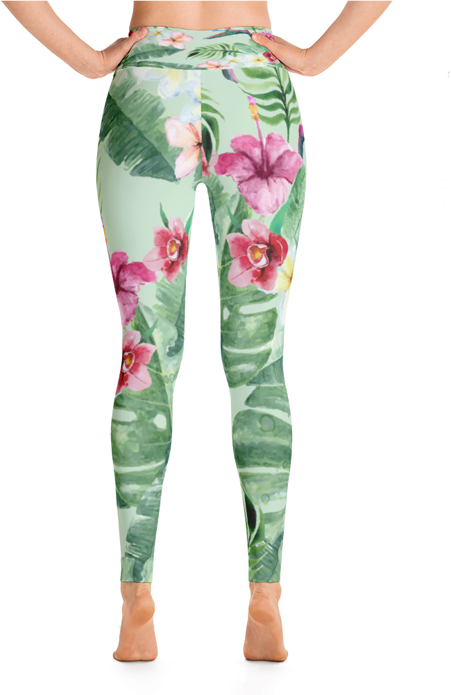 High-waisted Yoga / Surf Pants (1000x1000), Png Download