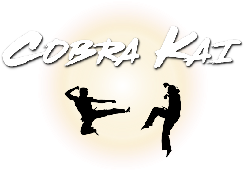 Download Cobra Kai Image  Cobra Kai Folder Icon PNG Image with No