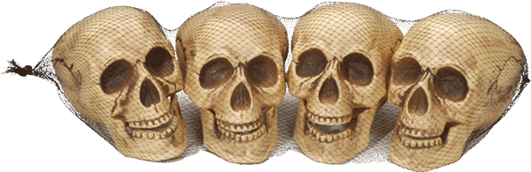 4 Skull Bag Sm - Skull (600x600), Png Download