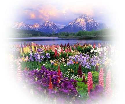 Paisajes Y Flores Png - Grand Teton National Park, Mount Moran (500x360), Png Download
