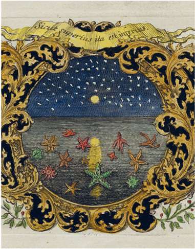 Starfish & Starry Night - Motif (500x500), Png Download
