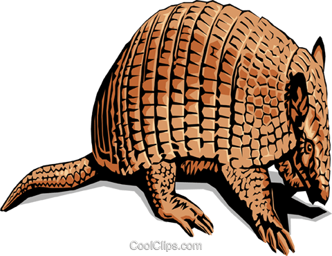 Armadillos Royalty Free Vector Clip Art Illustration - Typical Animal Of Mexico (480x370), Png Download