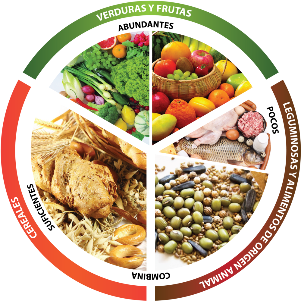 Health And Dieting With The Benefits Of Oils And Nutrition: (1024x1031), Png Download