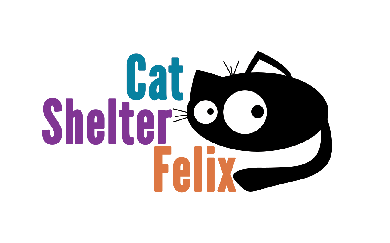 Cat Shelter Felix - Cat (1500x1000), Png Download