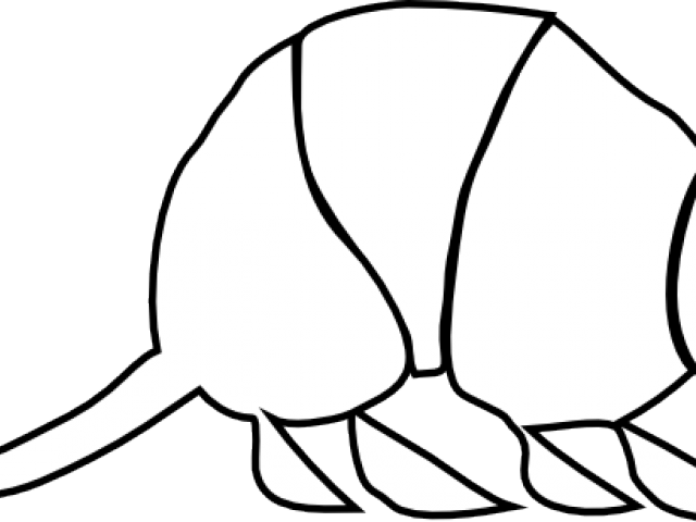 San Antonio (640x480), Png Download