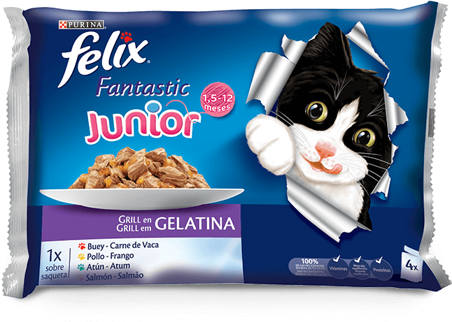 Junior - Felix Junior Agail Gij 10x100 Gr (665x480), Png Download