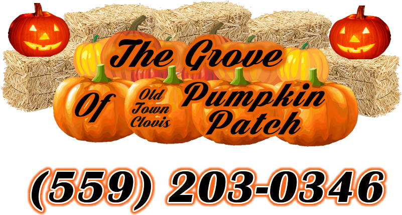 The Grove Of Old Town Clovis Pumpkin Patch Logo Inside - Floracraft Straw Bales, 2 1/2-inch-by-1 1/4-inch-1-inch (858x467), Png Download