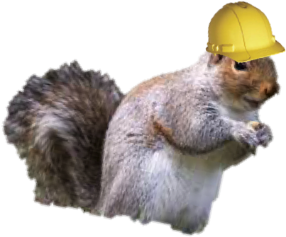 Blog Post 5 Its Not Too Late To Motivate 1 - Fox Squirrel (456x402), Png Download